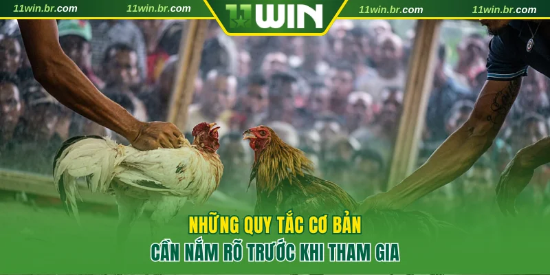 Những quy tắc cơ bản cần nắm rõ trước khi tham gia trang