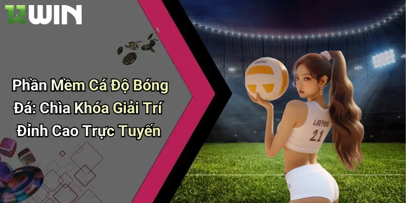 Phần Mềm Cá Độ Bóng Đá: Chìa Khóa Giải Trí Đỉnh Cao Trực Tuyến